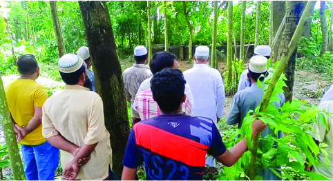 Image of এম এম তৌহিদুর রহমান